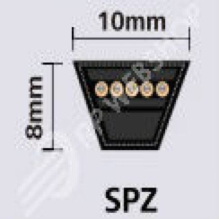 Smal profiel v-snaar SPZ