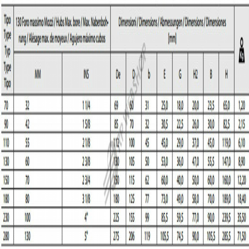BLACK  SPIDER