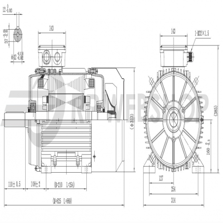 Elektromotor