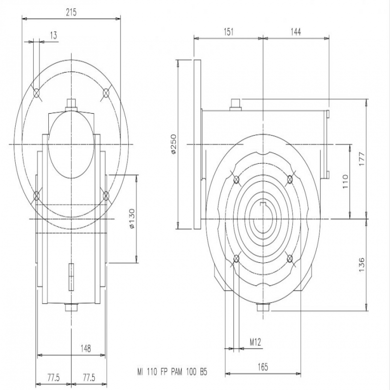 SITI MI 110FP 50/1 PAM28/250