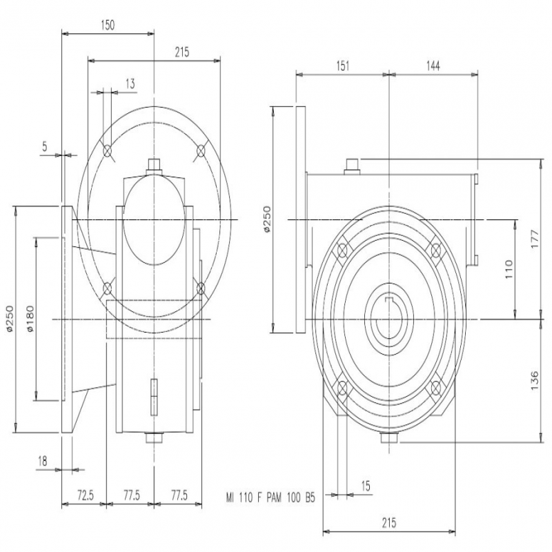 SITI MI 110F 100/1 PAM28/250