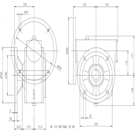 SITI MI 110FBR 15/1 PAM38/300