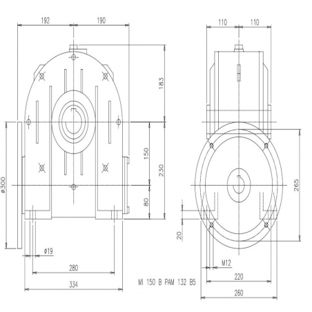 MI 150B 20/1 PAM38/300