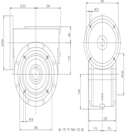 SITI  MI 175FP 60/1 PAM38/300 Uitgaande holle as d 60H7 Montage pos. standaard conform documentatie
