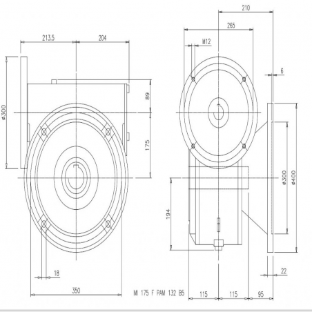 SITI  MI 175F 40/1 PAM38/300 Uitgaande holle as d 60H7 Montage pos. standaard conform documentatie