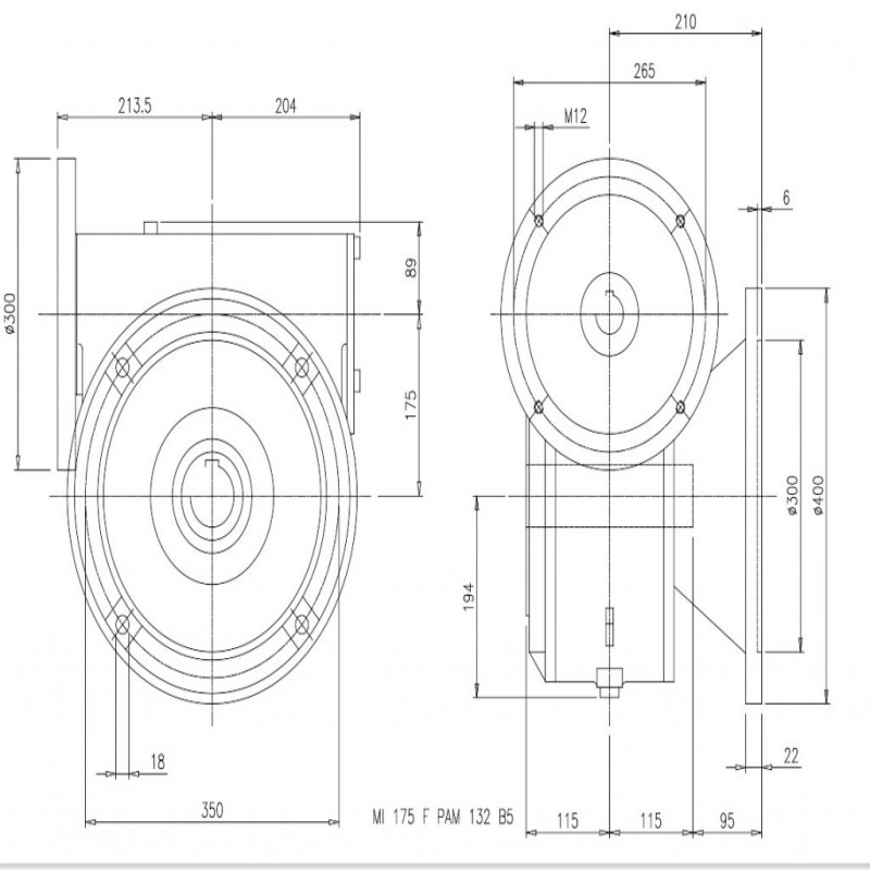 SITI  MI 175F 50/1 PAM38/300 Uitgaande holle as d 60H7 Montage pos. standaard conform documentatie
