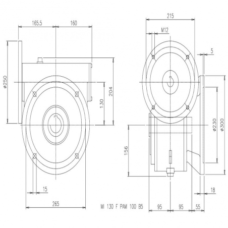 MI 130F 25/1 PAM28/250