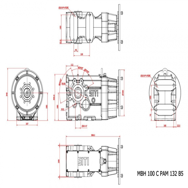 MBH 100 C  15.76   (IEC132B5) Ratio 15.76