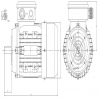 IE1-8p-0.25kW IEC80