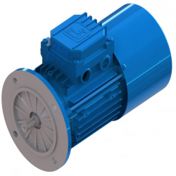 MGM Remmotor BMX 100-8 1,1 B5