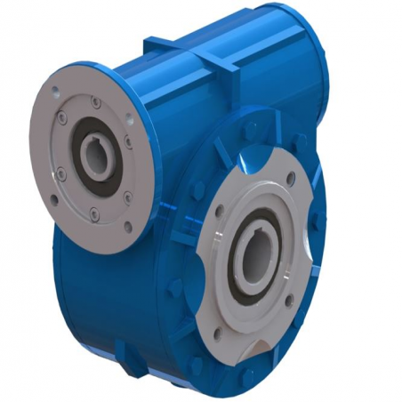 MI 80FP 60/1 PAM19/200