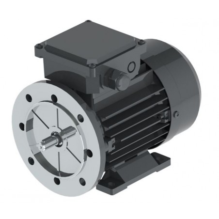 Elektromotor