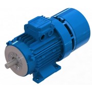 BAX-6P-0,75KW-IEC90